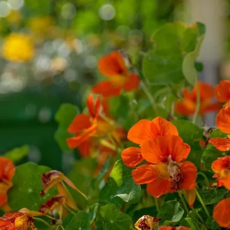 In With Terrace, Air Condition, Wifi, Dishwasher Daire *