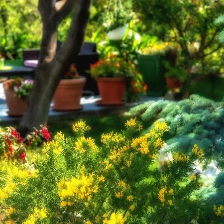 In With Terrace, Air Condition, Wifi, Dishwasher Bol