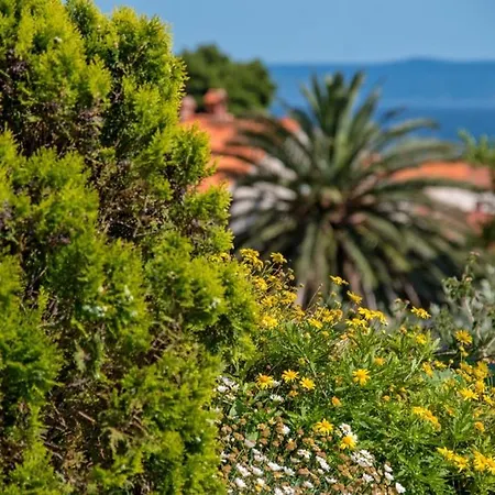 Daire In With Terrace, Air Condition, Wifi, Dishwasher Bol