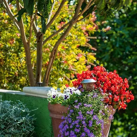 In With Terrace, Air Condition, Wifi, Dishwasher Daire Bol