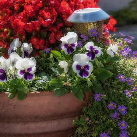 In With Terrace, Air Condition, Wifi, Dishwasher Daire Bol